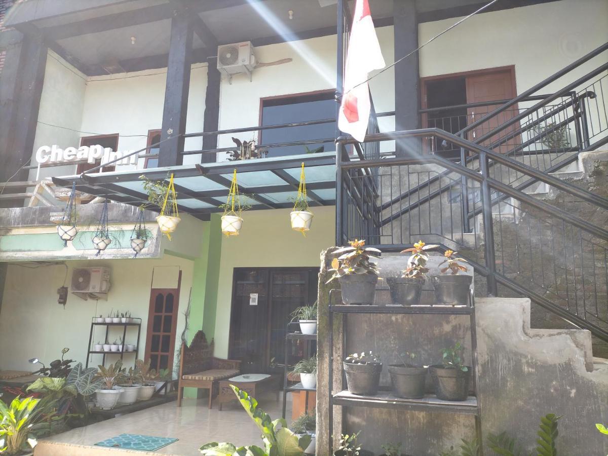 Cheap Inn Banyuwangi 바뉴왕기 외부 사진