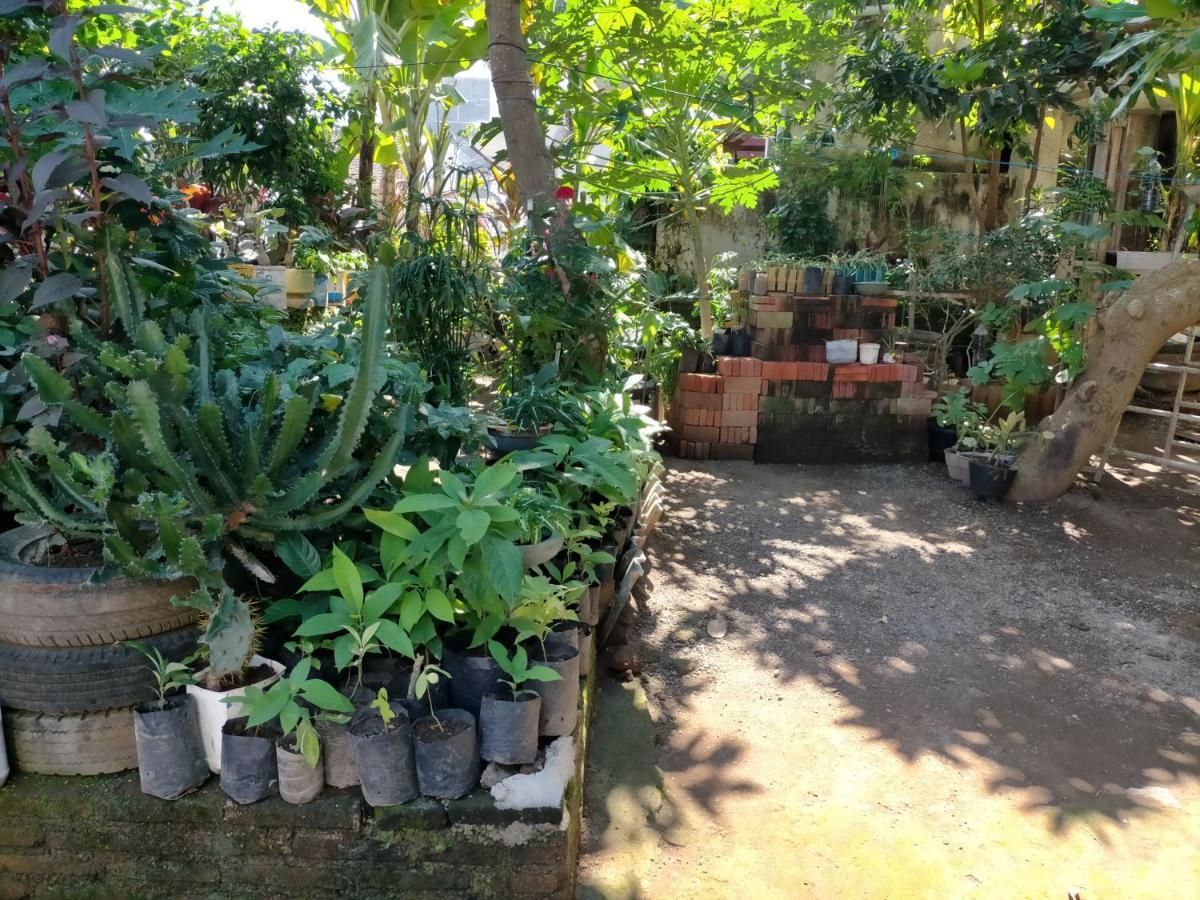 Cheap Inn Banyuwangi 바뉴왕기 외부 사진